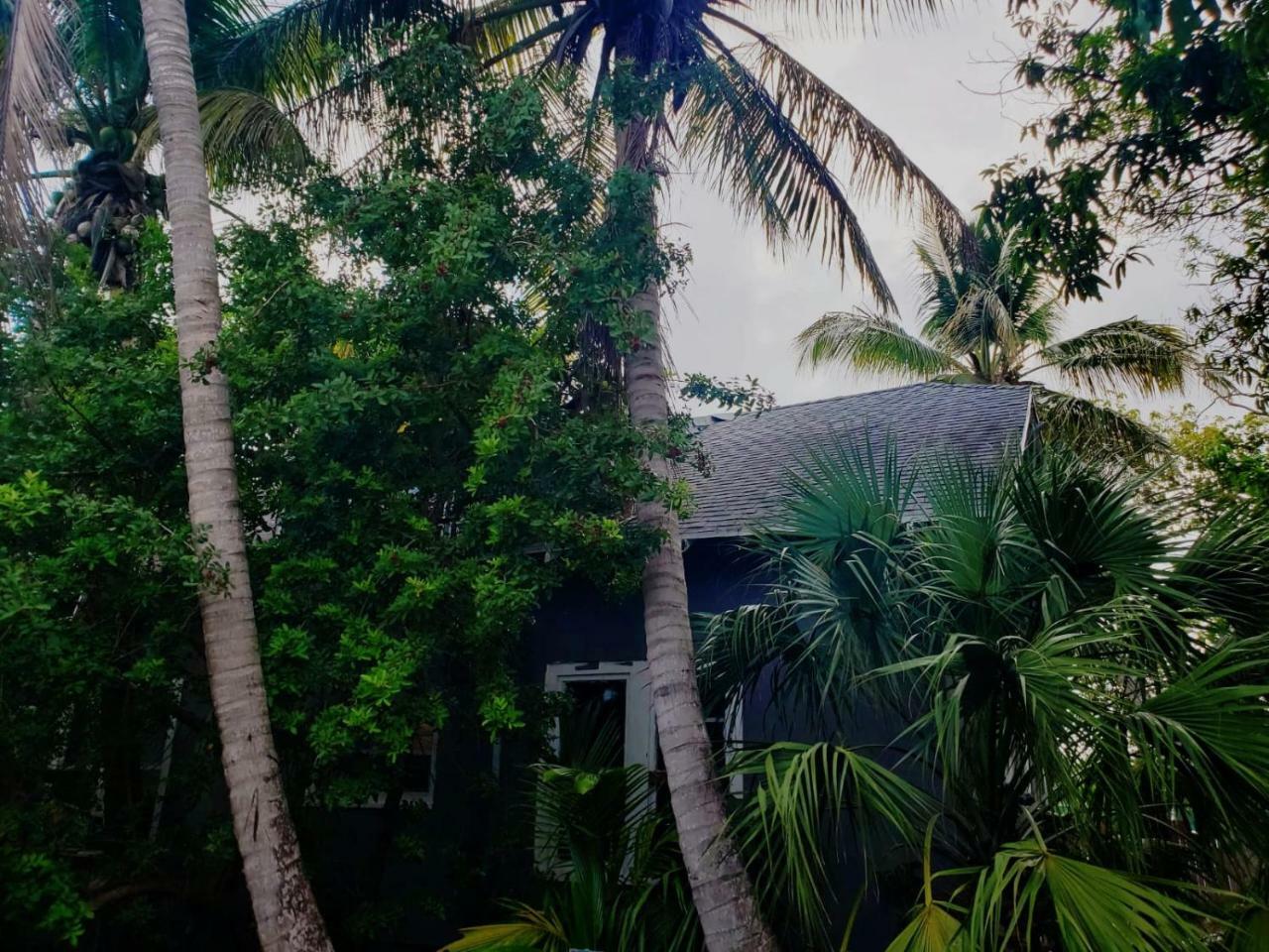 Old Cottage House Miami Extérieur photo